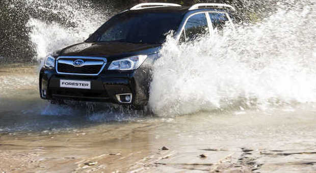 La quarta generazione di Subaru Forester si trova a suo agio su qualsiasi tipo di terreno